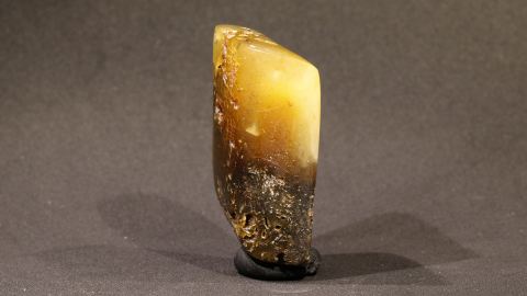 Baltischer Bernstein, Brack