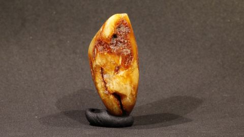 Bernstein gelb bis rotbraun, rotter Bernstein, butterscoth