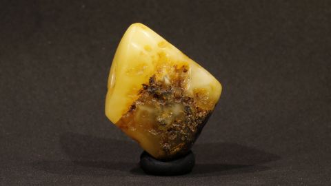 Baltischer Bernstein Brack