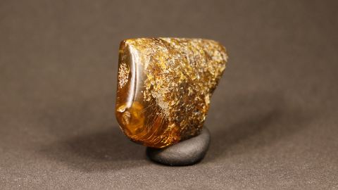 Naturbernstein mit Pflanzenresten und Humuserde