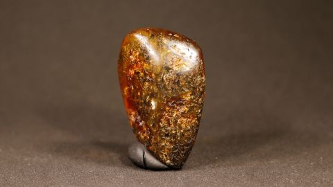 Baltischer Bernstein, Einschlüssen, Pflanzenresten und Humuserde