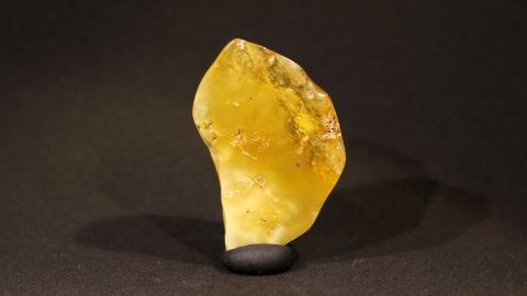 Bernstein butterscotch, weiß bis transparent