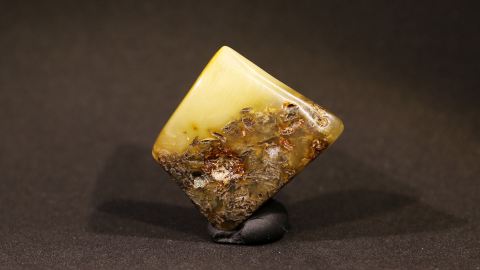 Baltischer Bernstein, Brack