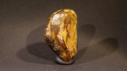 Baltischer Bernstein, Brack