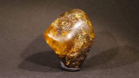 Baltischer Bernstein