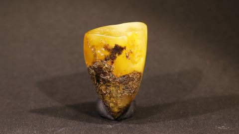 Baltischer Bernstein