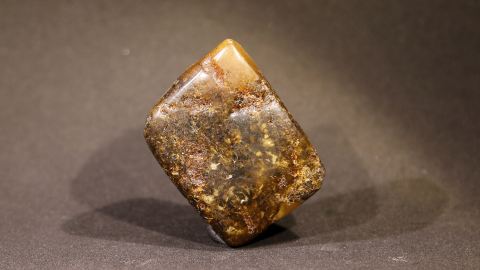 Baltischer Bernstein Humuserde