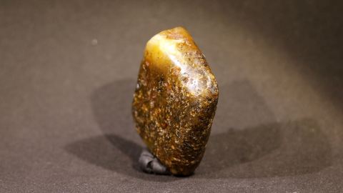 Pflanzenreste im Bernstein