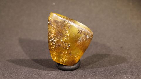 Baltischer Bernstein