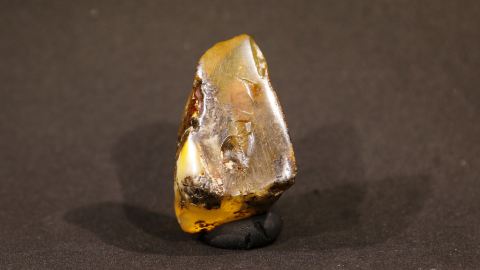 Baltischer Bernstein mit Einschlüssen