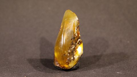 Naturbernstein geschliffen mit etwas Humus