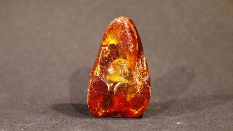 Baltischer Bernstein