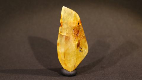 Baltischer Bernstein, milchiggelber Naturbernstein geschliffen 7,7 Gramm