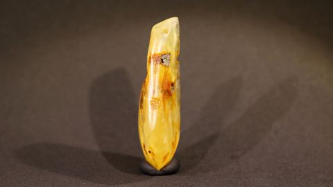 Baltischer Bernstein, milchiggelber Naturbernstein geschliffen 7,7 Gramm