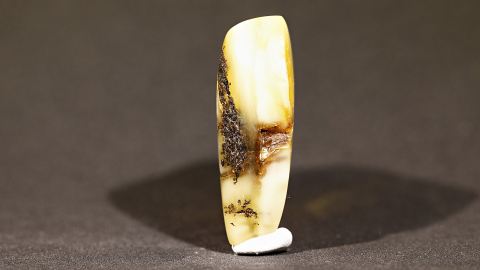 Baltischer Bernstein