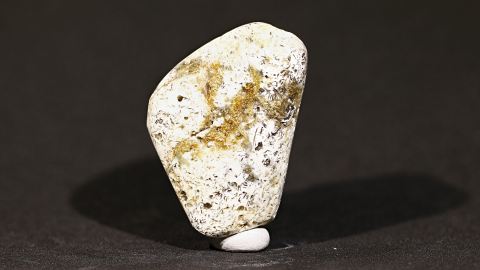 Knochen, Naturbernstein weiß