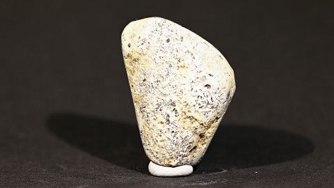 weißer Bernstein, Knochen