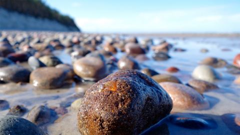 Bernstein in Braunkohlesanden In der Ostsee