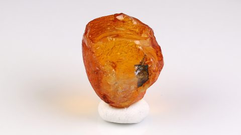 Baltischer Bernstein