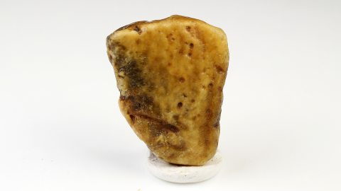 Baltischer Bernstein