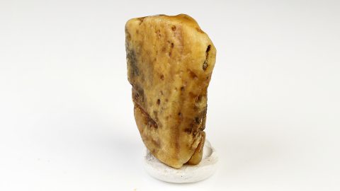 Rohbernstein unbehandelt