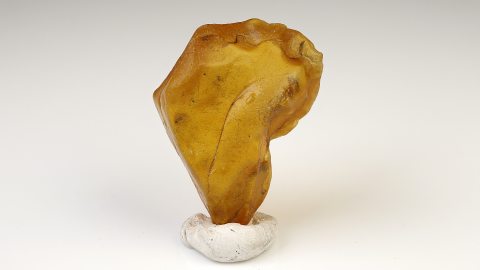 Baltischer Bernstein