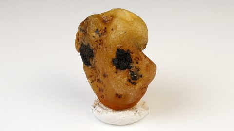 Rohbernstein unbehandelt