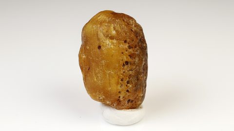 Baltischer Bernstein