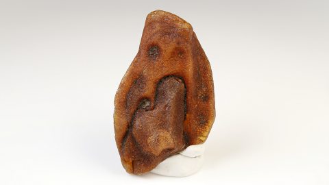 Baltischer Bernstein