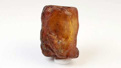 Baltischer Bernstein