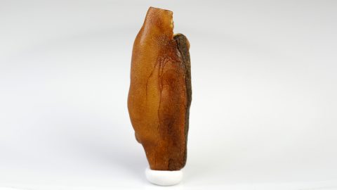 Baltischer Bernstein