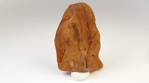 Baltischer Bernstein