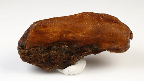 Baltischer Bernstein