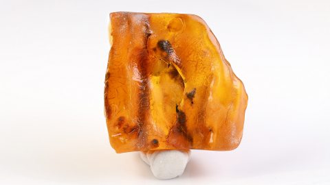 Baltischer Bernstein