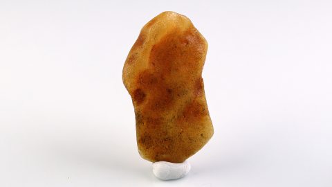 Baltischer Bernstein