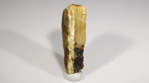 Baltischer Bernstein