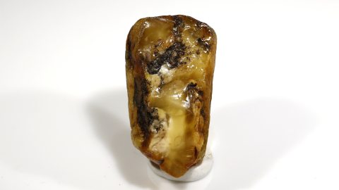 Unbehandelter Bernstein