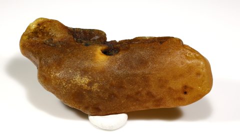 Baltischer Bernstein