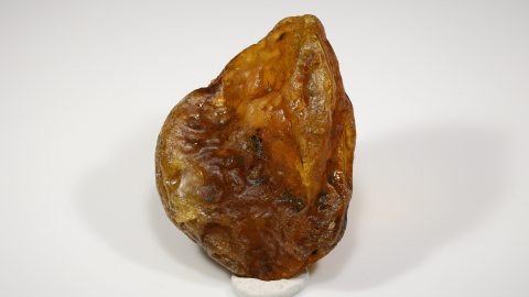 Baltischer Bernstein