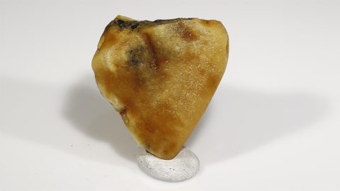 Rohbernstein