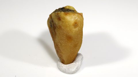 Baltischer Bernstein