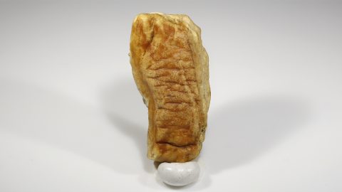 Baltischer Bernstein