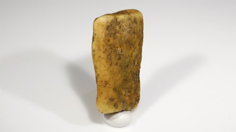 Baltischer Bernstein