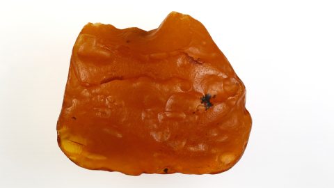 Baltischer Bernstein