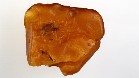 Rohbernstein
