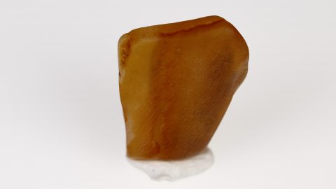 Baltischer Bernstein