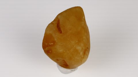 Baltischer Bernstein