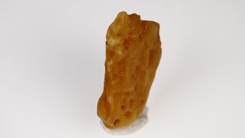 Rohbernstein