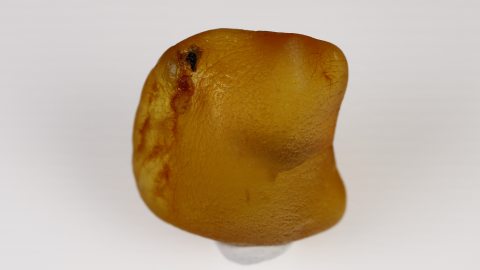 Baltischer Bernstein