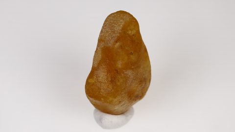 Rohbernstein